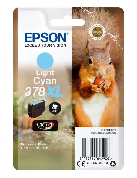 singlepack-ciano-chiaro-xl-378-scoiattolo-c13t37954010-1.jpg