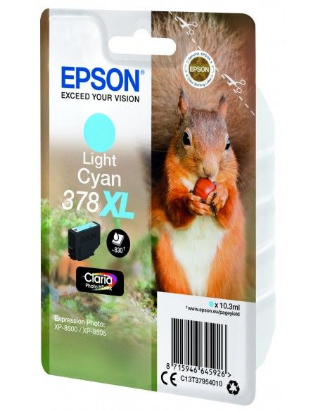 singlepack-ciano-chiaro-xl-378-scoiattolo-c13t37954010-2.jpg