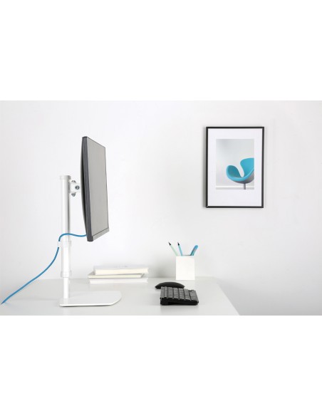 flatscreen-desk-mount-stand-fpma-d890white-7.jpg