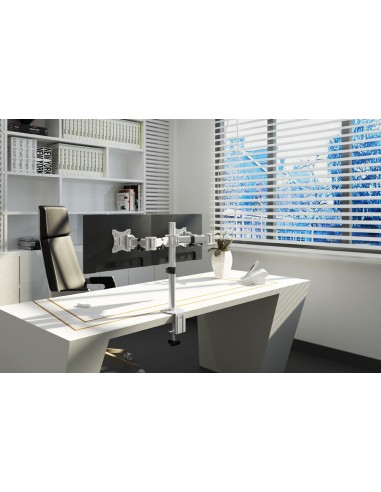 newstar-neomounts-desk-mount-nm-d135dsilver-7.jpg