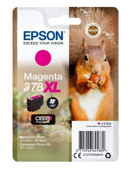 singlepack-magenta-xl-378-scoiattolo-c13t37934010-1.jpg