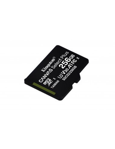256gb-micsd-canvasselectplusadp-sdcs2-256gb-2.jpg