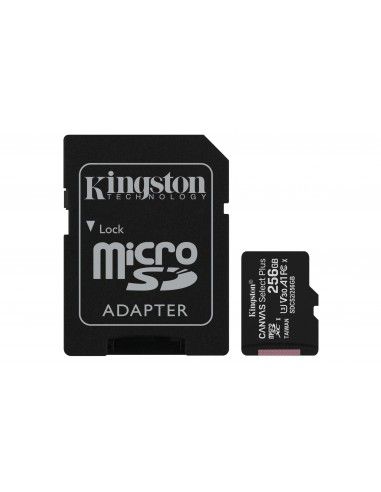 256gb-micsd-canvasselectplusadp-sdcs2-256gb-3.jpg