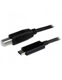 CAVO USB-B A - USB2CB1M