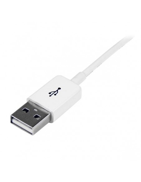 cavo-di-prolunga-usb-20-da-usbextpaa1mw-2.jpg