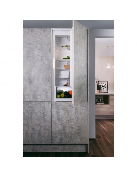 bs9011-frigo-inc-1p-137lt-h87-a-3.jpg