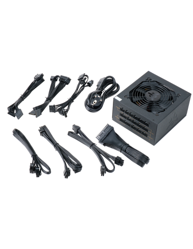 alimentatore-gf750-evo-750w-80plus-gold-ventola-fdb-12cm-cond-giapponesi-modulare-9.jpg