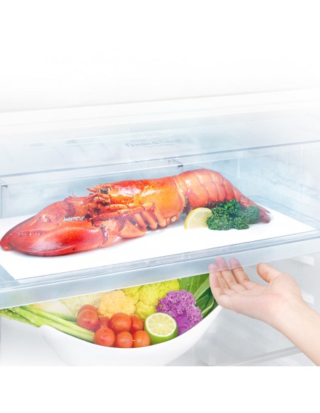 frigo-2p-438lt-h178-l70-nf-sabbia-e-10.jpg