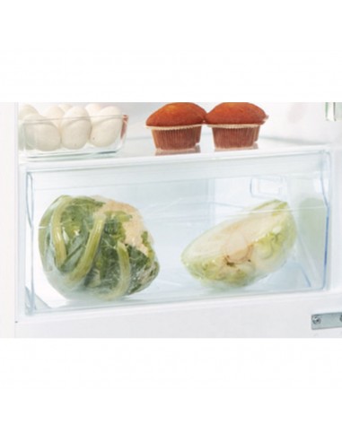 art66011-frigo-inc-combi-320lt-h177-a-4.jpg