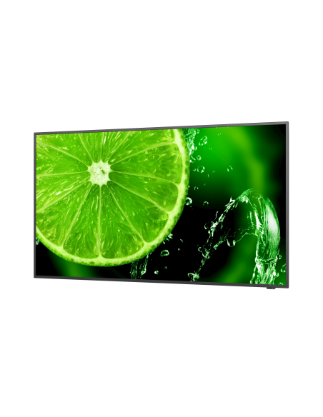 multisync-e558-7.jpg