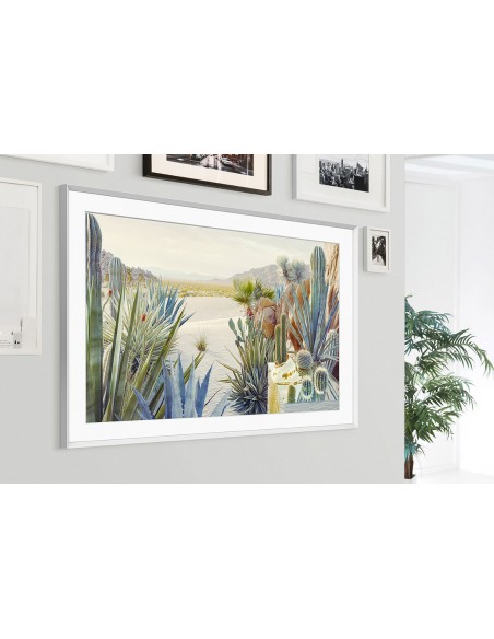 tv-55-poll-frame-serie-2021-23.jpg