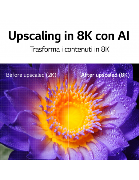 65-nanocell-8k-full-array-dimming-17.jpg