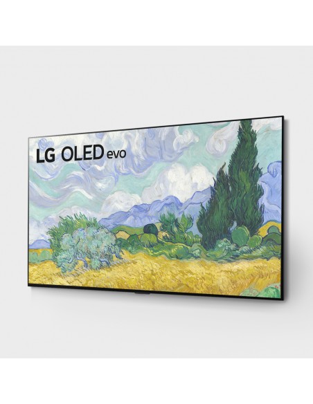 65-oled-evo-4k-gallery-design-2.jpg