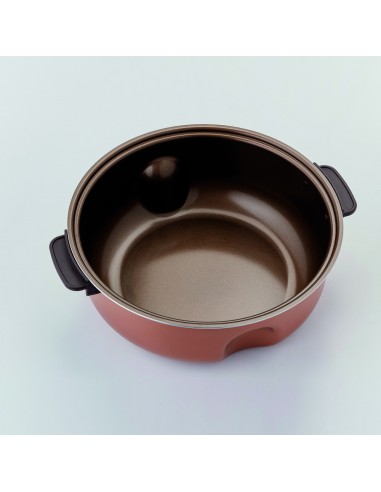ariete-multicooker-twist-6.jpg