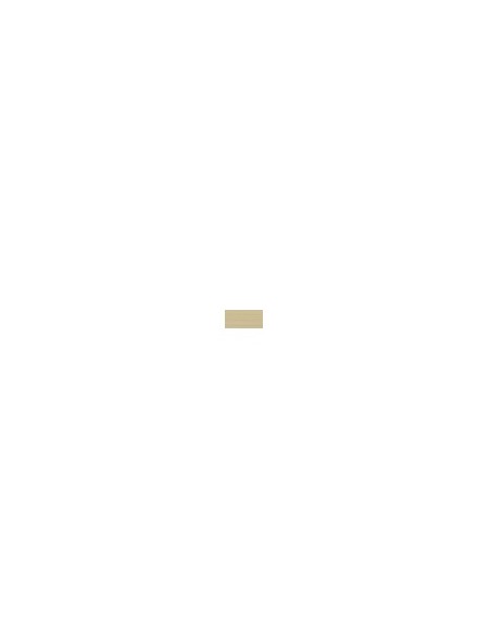 rubinetto-gessi-just-20587-031-pvd-ottone-spazzolato-2.jpg