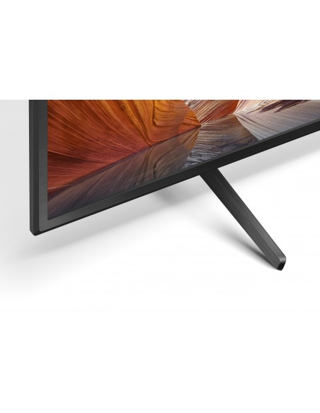 x81-43-dire-led-4k-hdr-google-tv-8.jpg