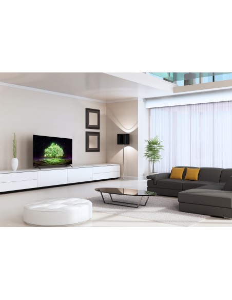 lg-oled-48a16-uhd-hdr-smart-lg-tv-oled-48-processore-a7-n-3-hdmi-20-webos-60-12.jpg