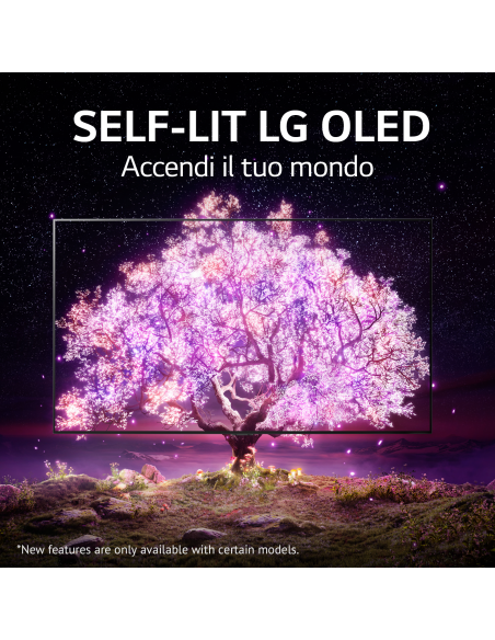 lg-oled-48a16-uhd-hdr-smart-lg-tv-oled-48-processore-a7-n-3-hdmi-20-webos-60-14.jpg
