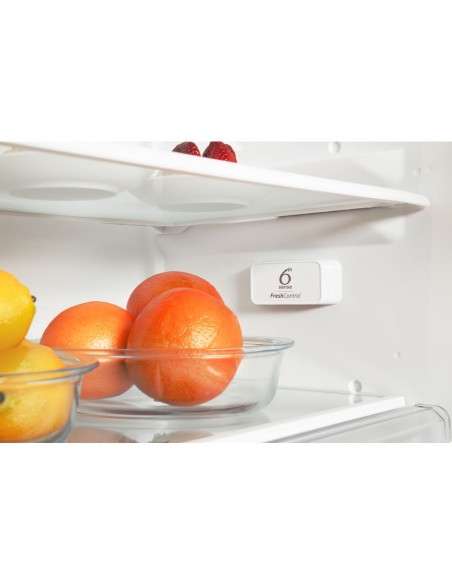 frigo-inc-combi-320lt-h193-vent-sf-a-everest-6.jpg