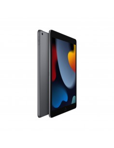 102-inch-ipad-wi-fi-256gb-space-grey-1.jpg 2