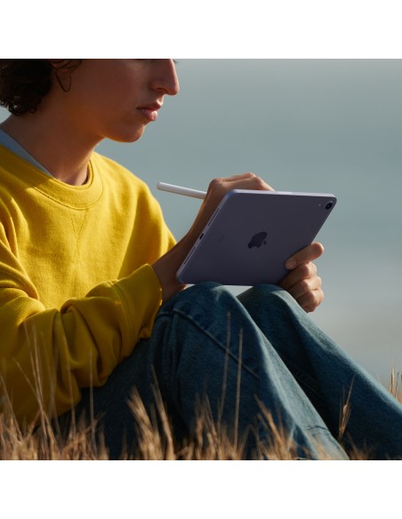 ipad-mini-wi-fi-cellular-256gb-pink-6.jpg
