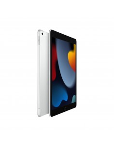 102-inch-ipad-wifi-cellular-256gb-silver-1.jpg 2