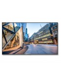 Nec 60005460 Monitor IPS 75" 4K Ultra HD 3840 x 2160 Pixel 178° Nero