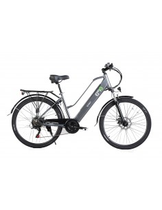emg-e-bike-queen-cy26abi-grey-ruote-26-batt-36v-10ah-motore-250w-autonom-50-60km-1.jpg