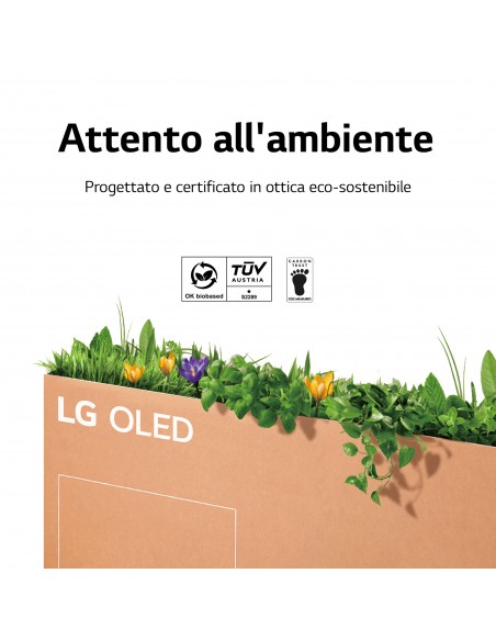 lg-oled-65g26-uhd-hdr-smart-lg-tv-oled-evo-galley-65-proces-a9-gen5-n-4-hdmi-21-10.jpg