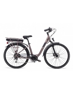 World Dimension GLOW LADY...