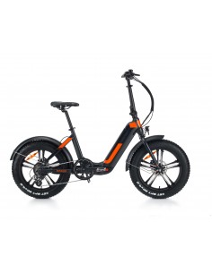 World Dimension ROX...