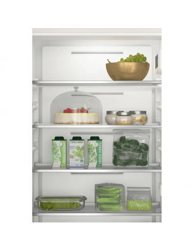 frigo-inc-combi-280lt-h194-nf-everest-6senso-zen-inverter-9.jpg