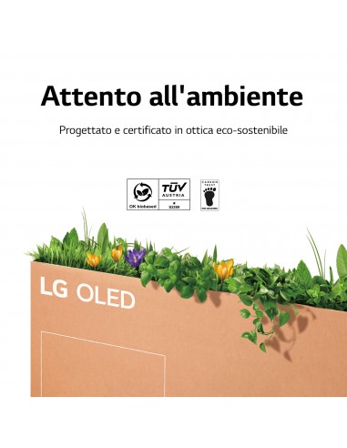 55-oled-serie-a2-9.jpg