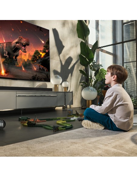 55-oled-serie-a2-13.jpg