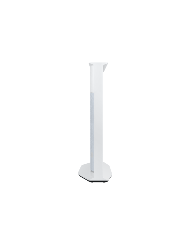 tv-55-poll-serif-2022-blue-5.jpg