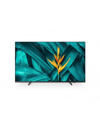 55-mediasuite-uhd-iptv-chromecast-1.jpg