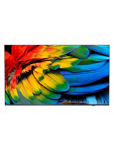 43-mediasuite-iptv-4k-chromecast-1.jpg