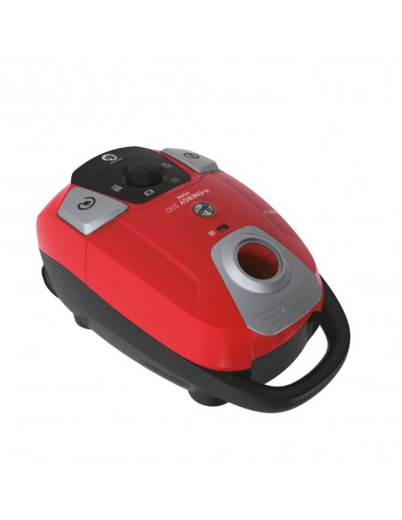 hoover-traino-sacco-h-energy-300-24.jpg