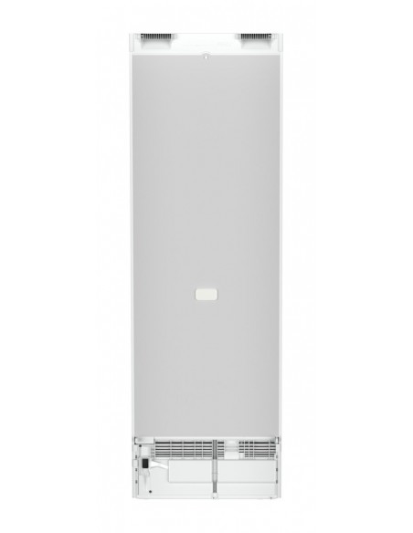 rbe-5221-9.jpg