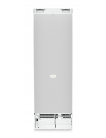 re-5220-5.jpg