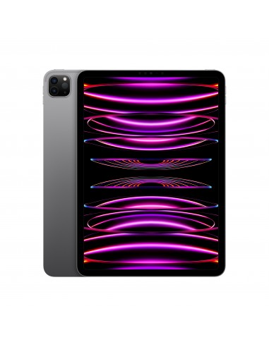 ipad-pro-11-wi-fi-1tb-grigio-siderale-1.jpg
