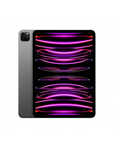 ipad-pro-11-wi-fi-cellular-1tb-grigio-siderale-1.jpg