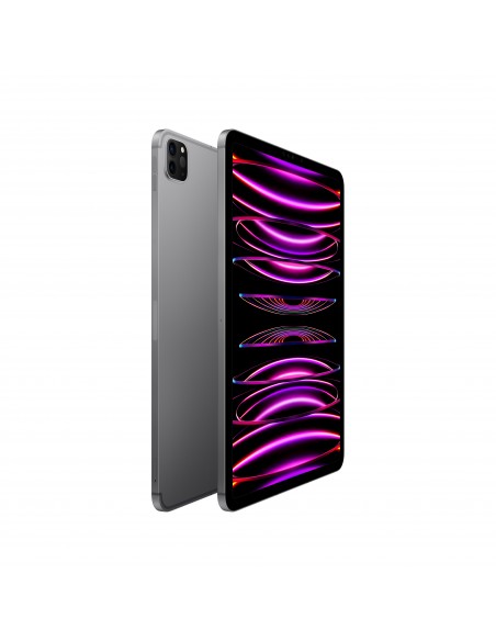 ipad-pro-11-wi-fi-cellular-1tb-grigio-siderale-2.jpg