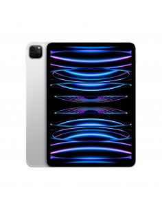 ipad-pro-11-wi-fi-cellular-1tb-argento-1.jpg