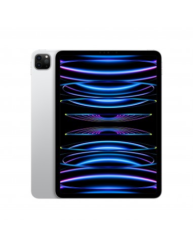 ipad-pro-11-wi-fi-2tb-argento-1.jpg