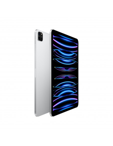 ipad-pro-11-wi-fi-2tb-argento-2.jpg