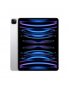ipad-pro-12-wi-fi-cellular-1tb-argento-1.jpg