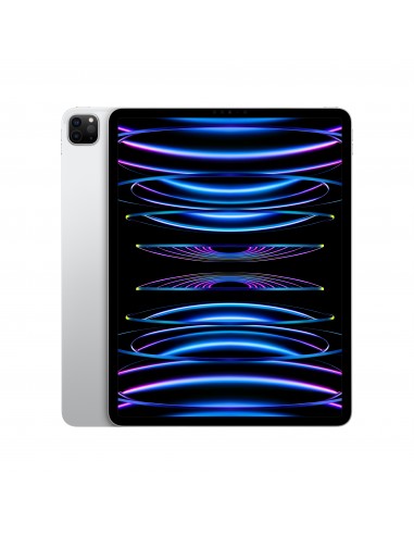 ipad-pro-12-wi-fi-2tb-argento-1.jpg