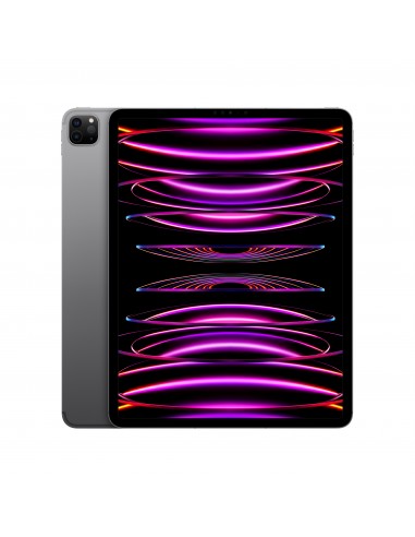 ipad-pro-12-wi-fi-cellular-2tb-grigio-siderale-1.jpg