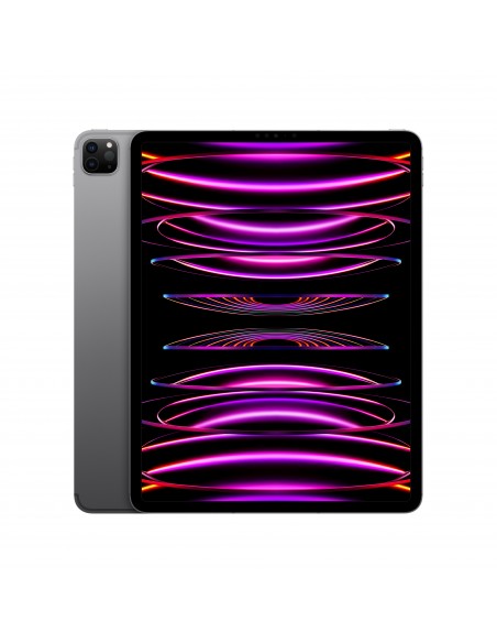 ipad-pro-12-wi-fi-cellular-2tb-grigio-siderale-1.jpg